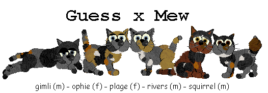 guessxmew.gif